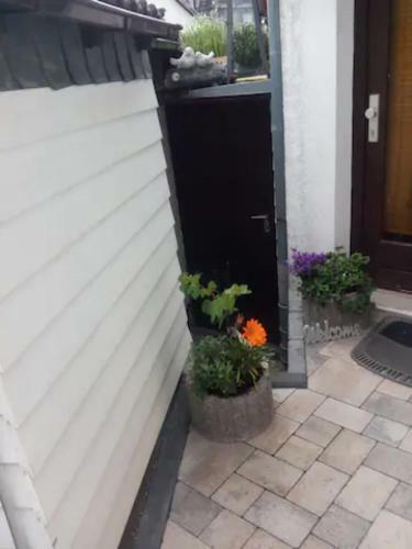 Apartamento Ferienwohnung Miraflor