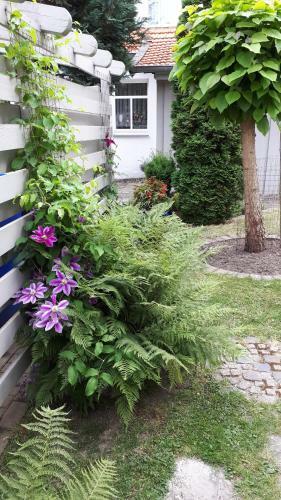 Apartamento Feriendomizil Annette`s Scholle