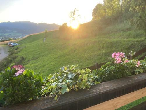 Apartamento Zum Kleinen Allg�uer