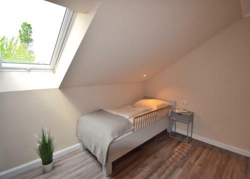 Backhaus 3