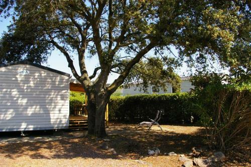 Mobile Home Ouireves 529 Facing The Mediterranean