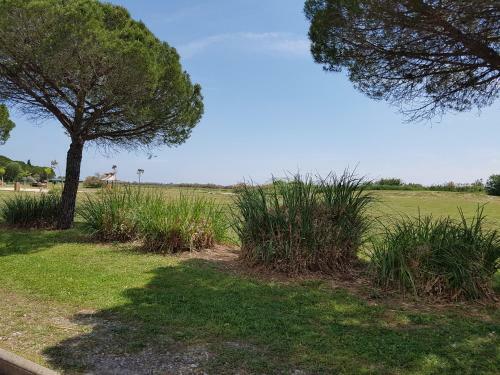 Lac Des R�ves - Proche Mer, Piscine, Commerces