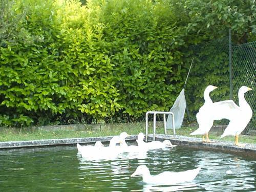 Agroturismo Agriturismo C� Sorci