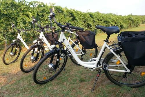 Agroturismo Le Stanze Di Bacco