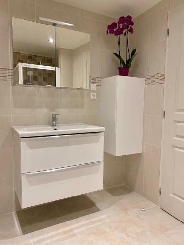 Apartamento Petit G�te � Lamothe D?al�s