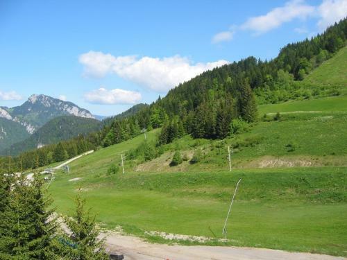 Apartamento Studio Le Biot, 1 Pi�ce, 4 Personnes - Fr-1-573-102