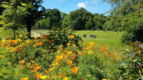 Bed & Breakfast Domaine Du Castellare
