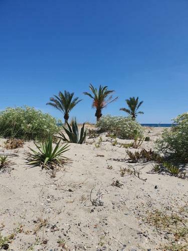 Apartamento Maison De Famille Proche Plage- 4estg7bis