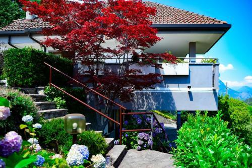 Easy Welcome Villa Di Lucia