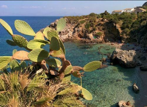 Casa Vacanze Brezza Marina