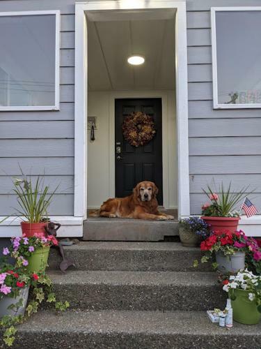 Idlewild Manor B&B