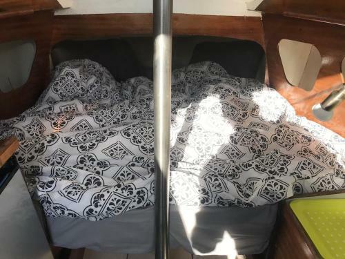 Retour D?ulysse, Nuits �toil�es, Plein Centre