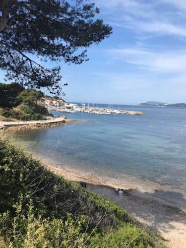 Apartamento Mon Littoral ( Rez-de-jardin ) 100 M De La Plage