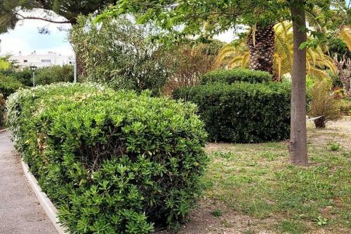 Apartamento Comme � La Maison!!a 5 Min � Pied Plage,pkg Priv�