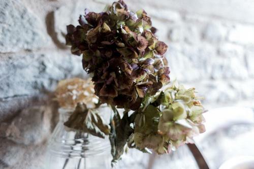 Bed & Breakfast Corte Della Maddalena