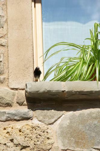Bed & Breakfast Corte Della Maddalena