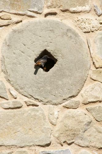 Bed & Breakfast Corte Della Maddalena