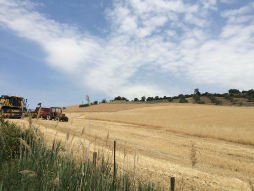 Agroturismo Casetta Tartuchino