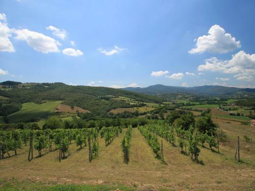 Holiday Home Domicilium Citerna