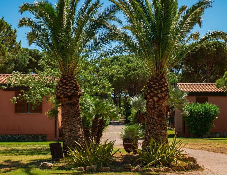 Club Degli Amici Camping Village