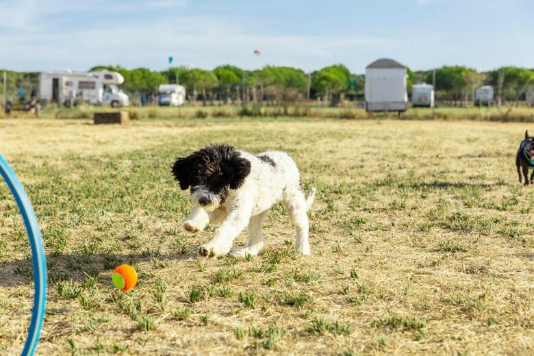 Club Degli Amici Camping Village