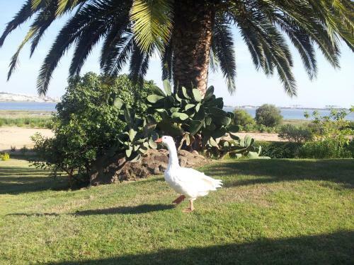 Santa Igia B&B - Country House