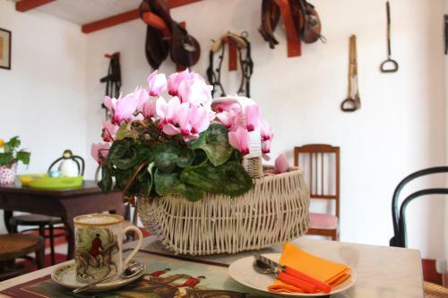 Santa Igia B&B - Country House