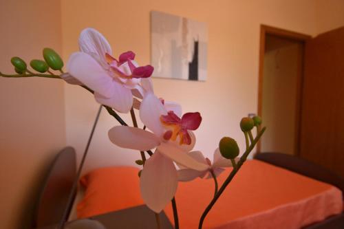 Villa Adriana B&B