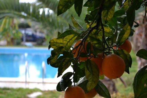 Villa Adriana B&B