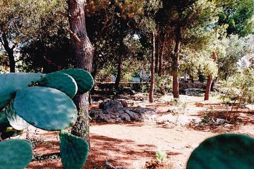 Apartamento Le Macchie Di Nonno Emilio