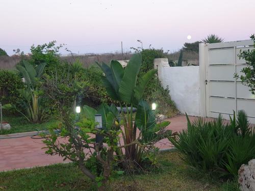 Apartamento Casa Relax