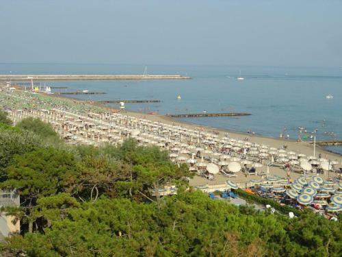 Fantastic Apartment In A Great Location