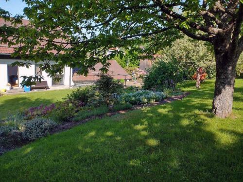 Apartamento Ferienwohnung Stocker