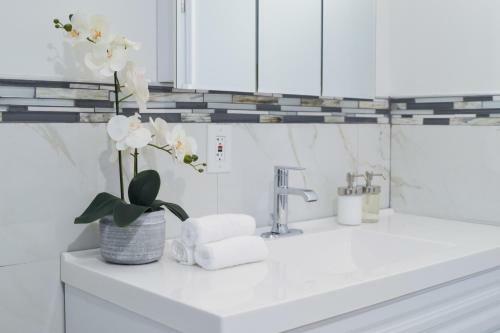 Beautiful 2 Bedroom 1 Bathroom Apartment With Patio And Deck