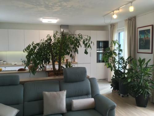 Beautiful Penthouse Apartment At Porta Nigra
