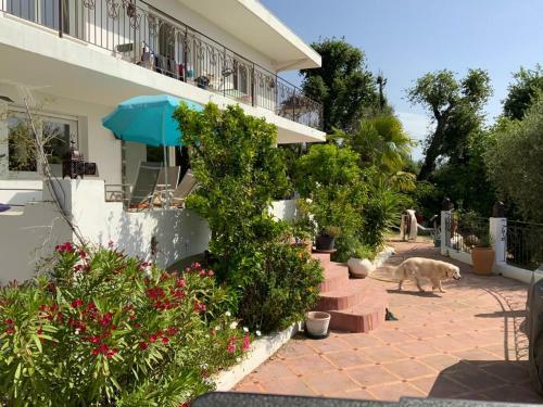 Villa Calme Et Verdure