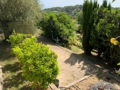 Villa Calme Et Verdure
