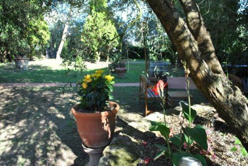 Apartamento Appartamento Annunziata