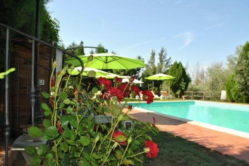 Apartamento Appartamento Annunziata