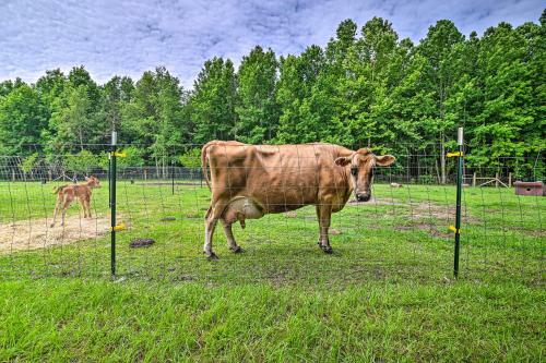 Stunning Sumter Home On Active 330-acre Farm!