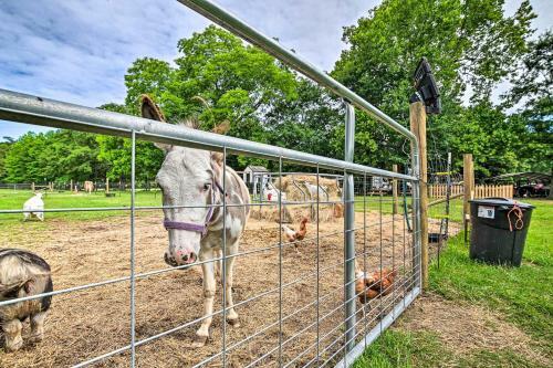 Stunning Sumter Home On Active 330-acre Farm!