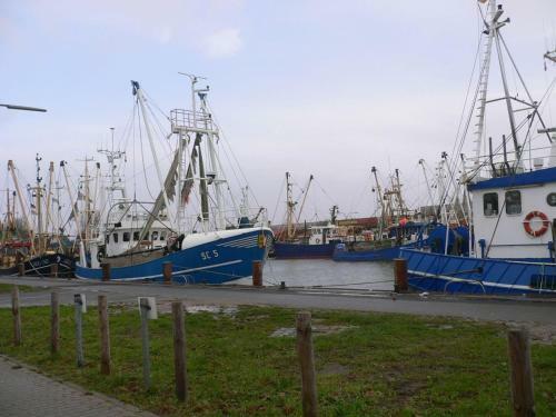 Nordsee-1