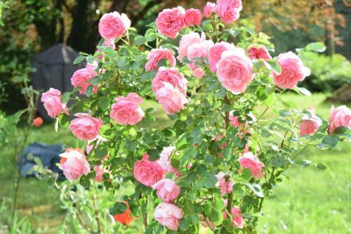 Bed & Breakfast Les 2 Chenes