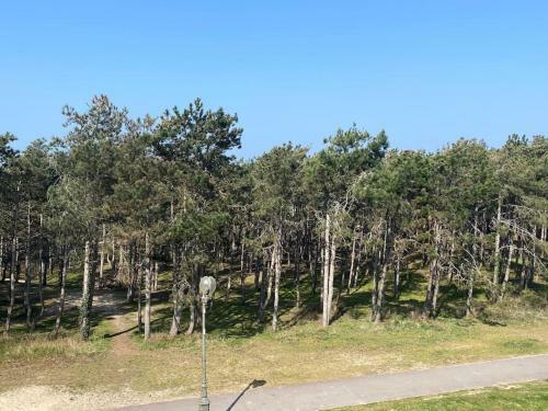 Luminous Apartment 2 Minutes Walk From Beach 2 Bedrooms 5pers