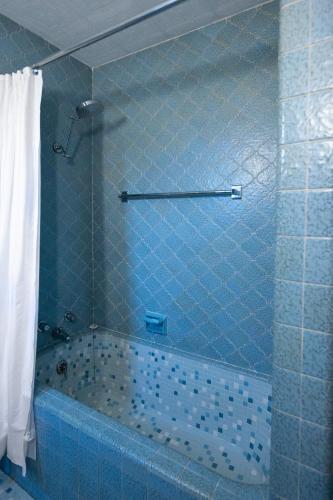 Apartamento Knoxville's Historic Tile House, Private Pool!