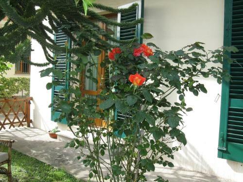 Apartamento A Casa Nostra