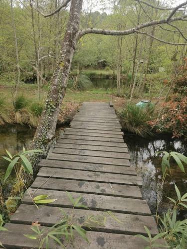 Maison Bois Au Coeur De La Nature. 2ha De Terrain. Etangs