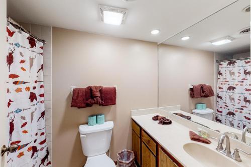 Falling Waters Condo