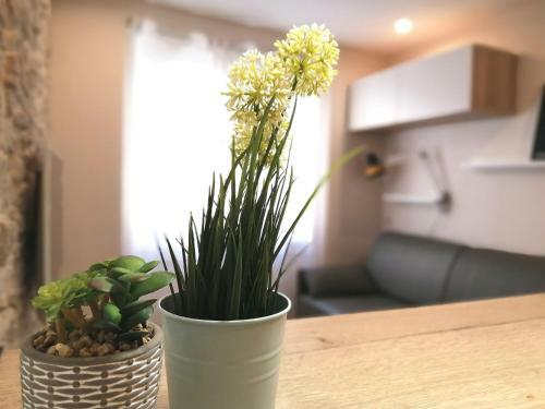 Apartamento Le Petit Studio - 15 M2 - Centre Ville - Sorgue � 50 M