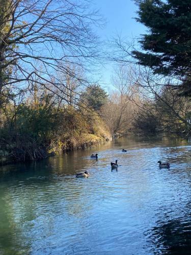 Villa R�ve De Sorgue